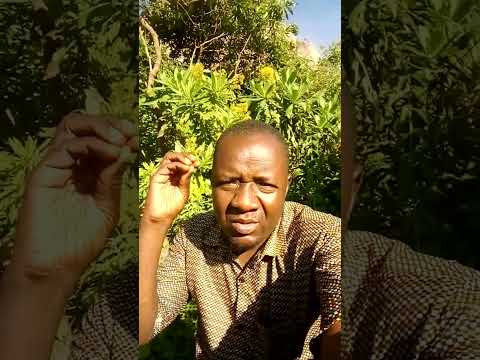 Life In Village Kindly Subscribe Samwel Ke