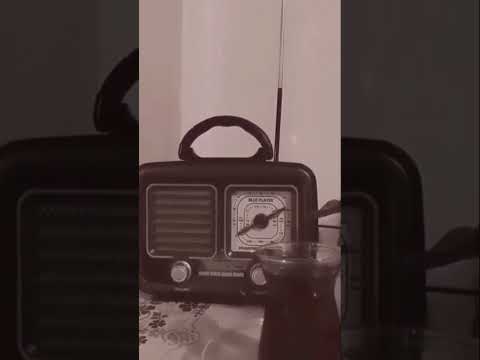 Cheb Amrou Galbi Maysa3fnich