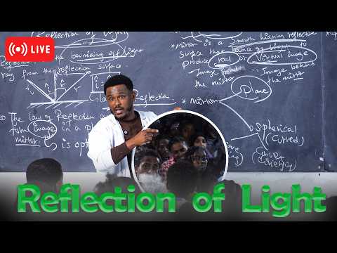 Entrance Preparation With Teacher Dani Reflection Of Light