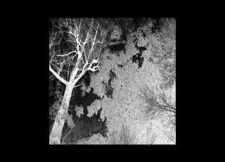 Malicious Wonderland Tritone Musick 2018 Dark Ambient Industrial