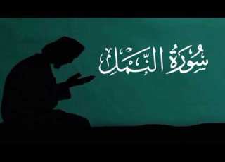 سورة النمل كامله بصوت الشيخ ادريس ابكر القرآن الكريم