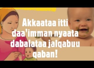  Akkaata Daa Imman Nyaata Dabalataa Itti Eegalaniiifi Nyaata Daa Immanii Ji A Ja Aa Hanga Waggaa 1