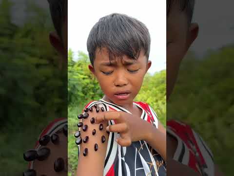 Survival Skills SMART And USEFUL Ideas With A Single Mother Bushcraft Camping