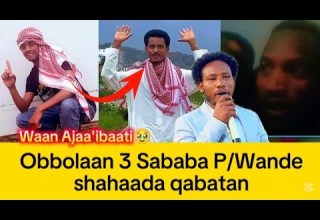 Ajab Obbolaan 3 Shahaada Qabatan Sababa Paster Wanden Shahaada Qabateef Ajab Obbolaan 3 Shahaada Qabatan Sababa Paster Wanden Shahaada Qabateef