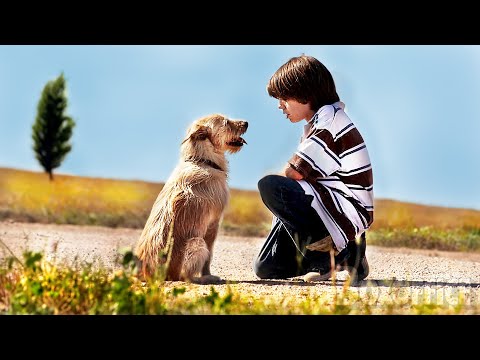 My Bestie Smitty FAMILY DRAMA Full Movie