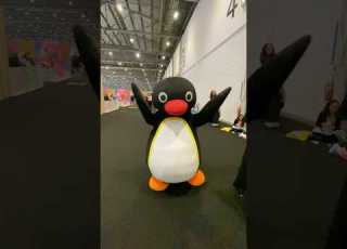  Pingu Pingu