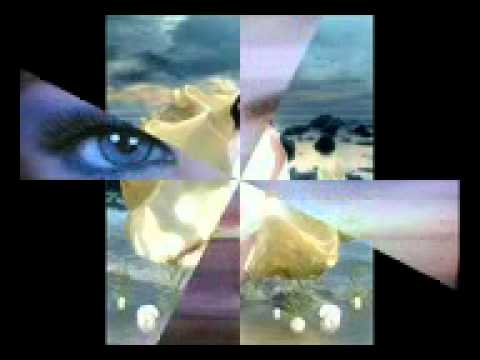 ليه الحبيب محمد محيي YouTube