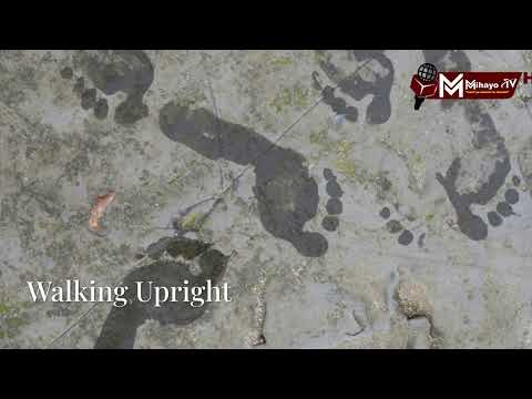 UJUE UNYAYO WAKWANZA WA BINADAMU WA KALE ULIGUNDULIWA ARUSHA