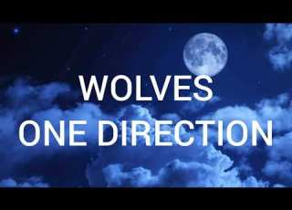  One Direction Wolves Lyrics