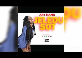 Jeledu Sot Ary Nana Official Audio Mp3