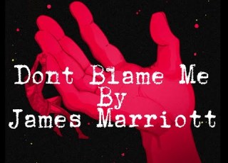  Don T Blame Me James Marriott Clean