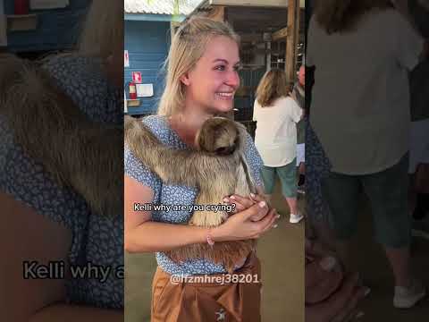 Try Saying No To This Sloth S Hug Sloth Cute Hug