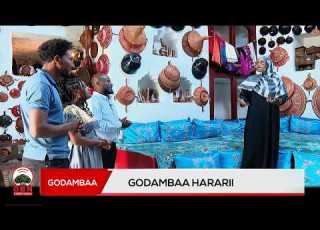 Godambaa Hararii