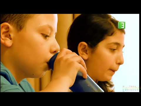 MBC3 Arabia Continuity 1 1 2026