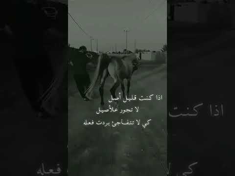 حالات واتساب اذا كنت قليل اصل لاتجور عالاصيل كي لا تتفاجأ بردت فعله حالات واتساب اذا كنت قليل اصل لاتجور عالاصيل كي لا تتفاجأ بردت فعله