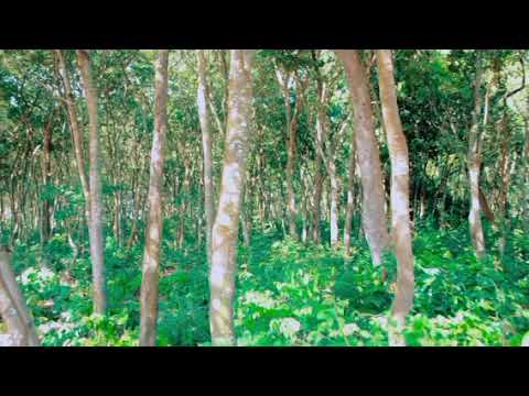 MSIZO LUHAGA MAISHA YANGU BY KAHOGO ASILI TV 2026