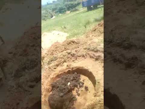 JIFUNZE HATUA ZA UPANDAJI WA MIGOMBA JIFUNZE HATUA ZA UPANDAJI WA MIGOMBA