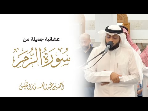 أمن هو قانت آناء الليل عشائية جميلة من الزمر