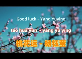 桃花运 杨钰莹 Tao Hua Yun Good Luck Yang Yuying 中文歌曲 Chinese Songs Lyrics With Pinyin