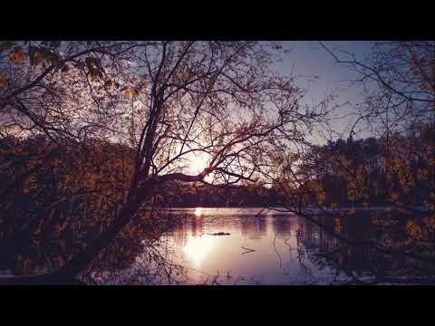 قران كريم لمده ٣٠ دقيقه راحه نفسيه