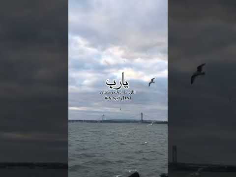 دعاءللمتوفين دعاء للميت في رمضان حالات سعدالعتيق اجمل دعاءللميت في شهررمضان حالات ادعيه قصيره موتانا