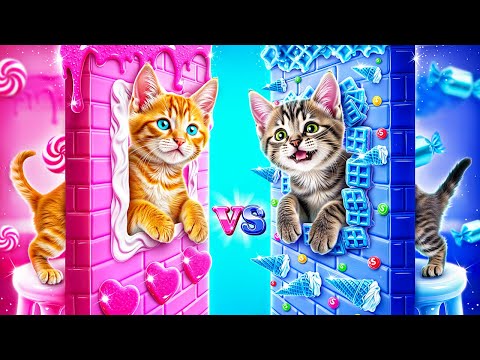 الأم مقابل زوجة الأب أفضل الأبتكارات لأصحاب الحيوانات الأليفة