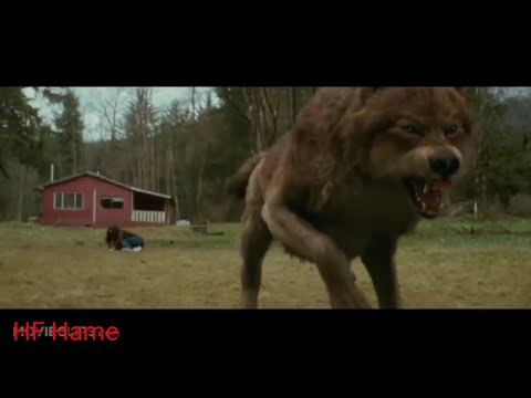 اجمل حالات واتس اب افلام مستذئب يدافع عن حبيبته ضد الذئاب 2018