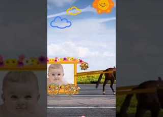  جوز الخيل والعربيه Shorts