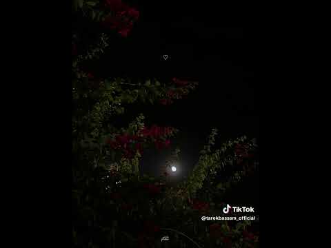 مفيش غيرك يداوي جروحي