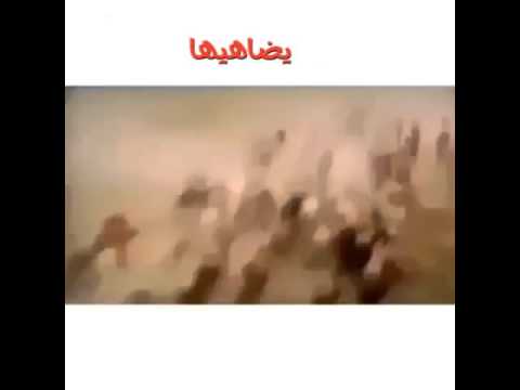 بني كندة رأسه مرفوع قدام جميع قبائل