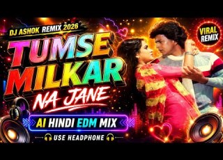  Tumse Milkar Na Jane Lata Mangeshkar Shabbir Kumar DJ Remix 2026 Bollywood Love Anthem