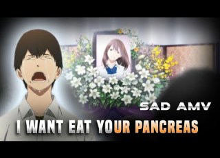I Want To Eat Your Pancreas Sad AMV Edit Into Your Arms