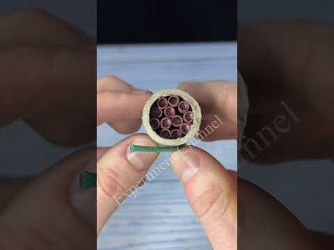 Firecracker Experiment Firecracker Fireworks Shorts