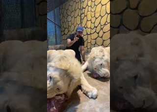  عشاء الأسود
