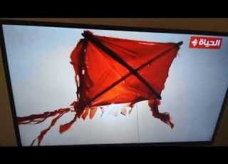 The Last Video Of Alhayah Logo