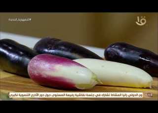 طريقة عمل ومقادير طاجن تورلي بالدجاج و متبل الطماطم بالطحينة مع الشيف المغازي حلقة 28 5 2022