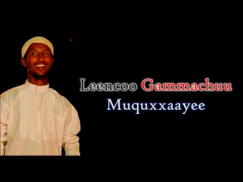 Leencoo Gammachuu Muquxxaayee Lyric Video