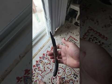 قرن غزال اوكابي