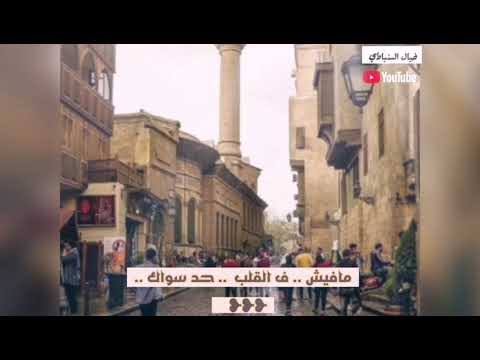 الفنان محمد عبدالمطلب يغن ي مافيش ف القلب حد سواك الفنان محمد عبدالمطلب يغن ي مافيش ف القلب حد سواك