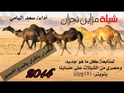 شيلة مزاين نجران نـجران يانجران يالدرع الحصين أداء سعد اليامي