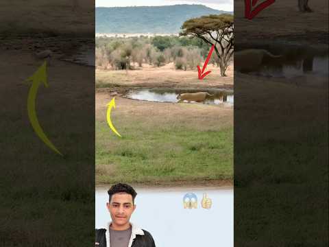 حين تتهاوى الموازين وتنفلب السيطرة يحضر لطف الله بحماية تسبق الخطر Youtubeshorts Shorts