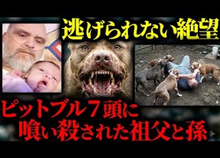 地獄絵図 警察が一斉射殺 ペットのピットブル７頭の群れに囲まれ 骨まで砕かれた家族の悲劇