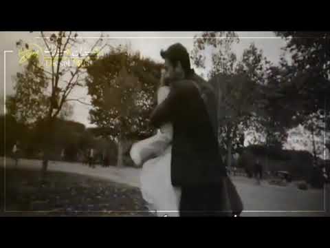 اجمل حاله واتس اغنيه فضل شاكر بتوحشيني