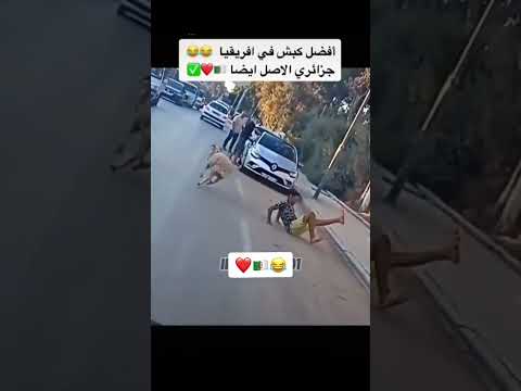 ههه واش دار بيه رياض محرز