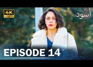  Black Episode 14 4K