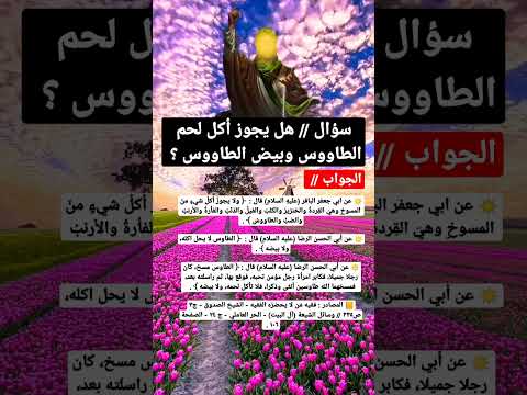 فتاوي شرعية 5 هل يجوز أكل بيض الطاووس و لحم الطاوس الاحكام الشرعية لتناول بيض الطاووس ولحمه