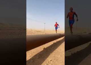سبايدر مان الشمال