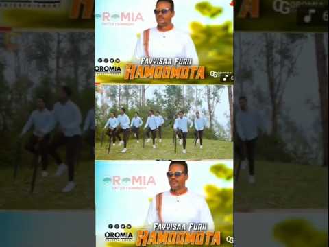 FAYSISA FURI Hamoomta Oromo Bulo Habesha Yosan Getahun Irreecha Africanmusic Ethiopianmusic