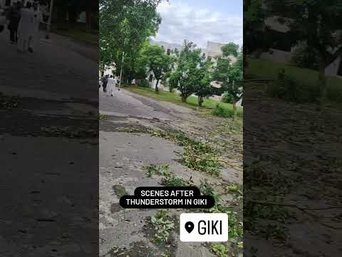 Scene After Thunderstorm In Giki Giki Shorts Viral Vlog