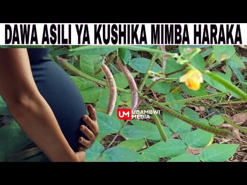 ZIJUE FAIDA ZA MKUNDE PORI KWA MATATIZO YA UZAZI HUSAFISHA KIZAZI HUONDOA SUMU HUSOGEZA KIZAZI N K